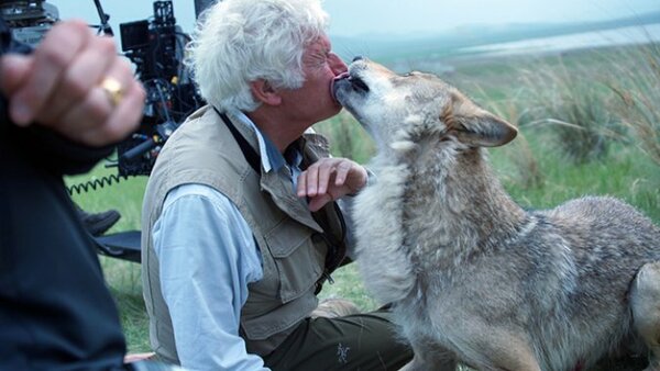 Jean-Jacques Annaud est «sur le cul» : son Dernier Loup n’est pas assez chinois